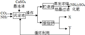 化工厂与化肥厂联合制备(NH₄)₂SO₄的工艺流程分析